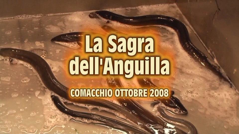 La sagra dell'anguilla a Comacchio 2008